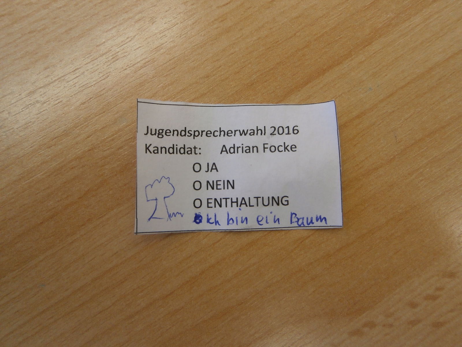 Vorschau